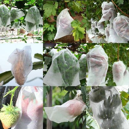 Protective Mesh Cover for Fruit Trees