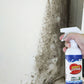 High-efficiency Mildew Removal Spray for Household Walls