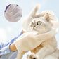 HOT SALE-48%OFF Pet Clean Wash Free Gloves