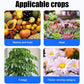 General Purpose Horticultural Antibacterial Nutrient Solution